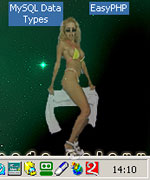 A VirtuaGirl model fading out during her strip because of the demo version.